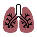 Lungs icon