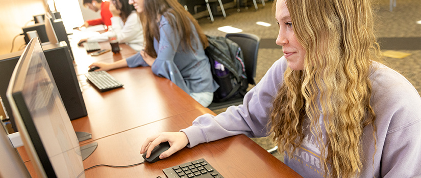 Students Studying