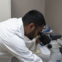 Ricky Dash looking into a microscope