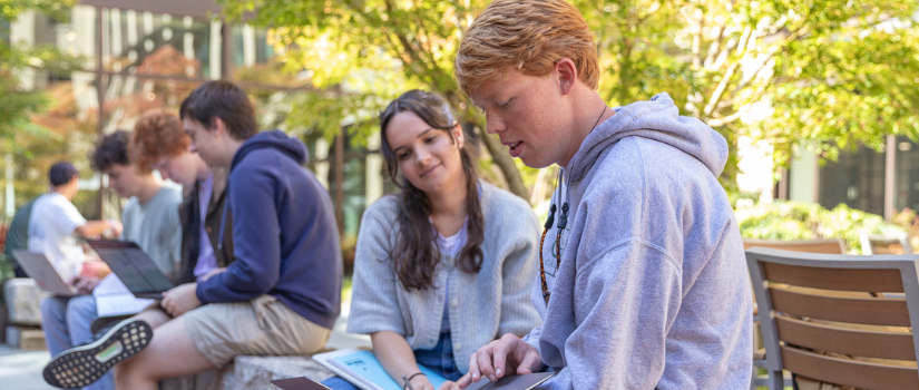 Students studying in the courtyard at the law school.