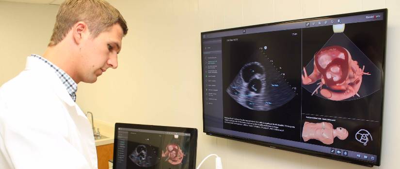 Doctors pointing at a model of a lung