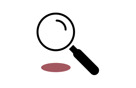 magnifying glass icon