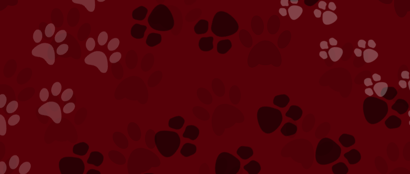 Paw prints