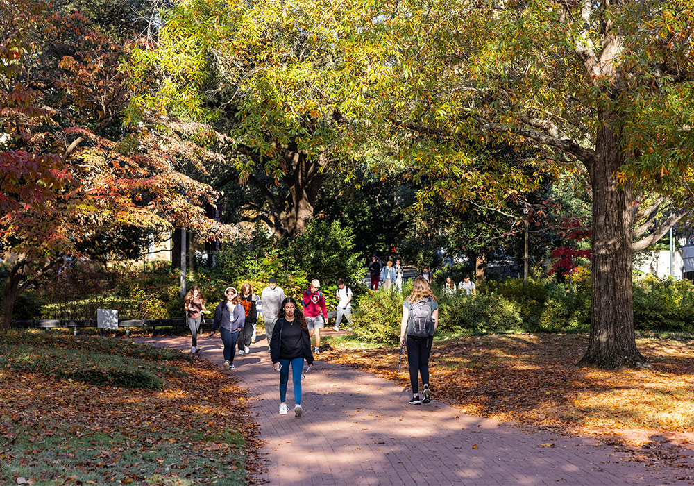 students walk on brick pathways ont he Horseshoe during the fall