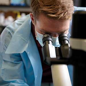 Researchers look into a microscope at the University of South Carolina. 