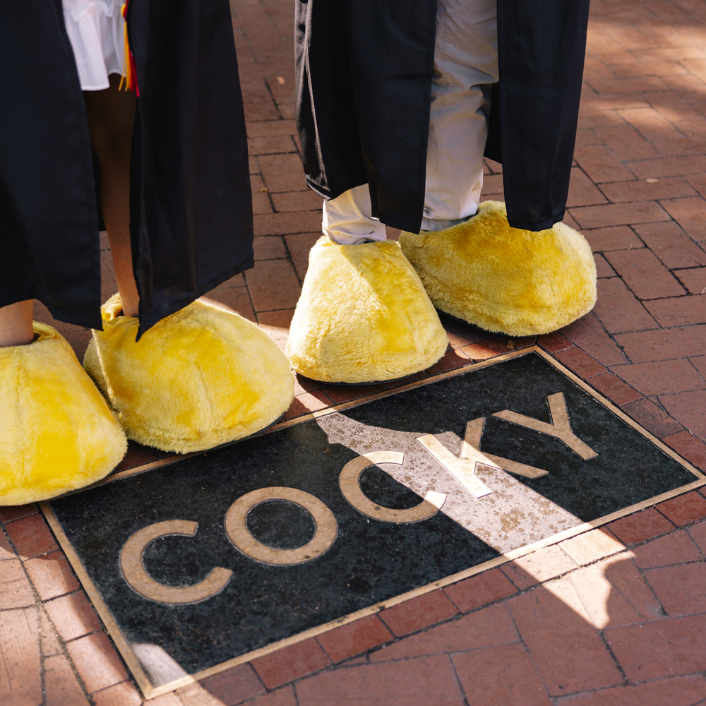Yellow Cocky feet in front of the Cocky statue